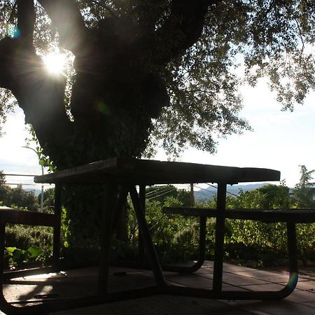 הוילה Villa del Prado Jaramundi מראה חיצוני תמונה