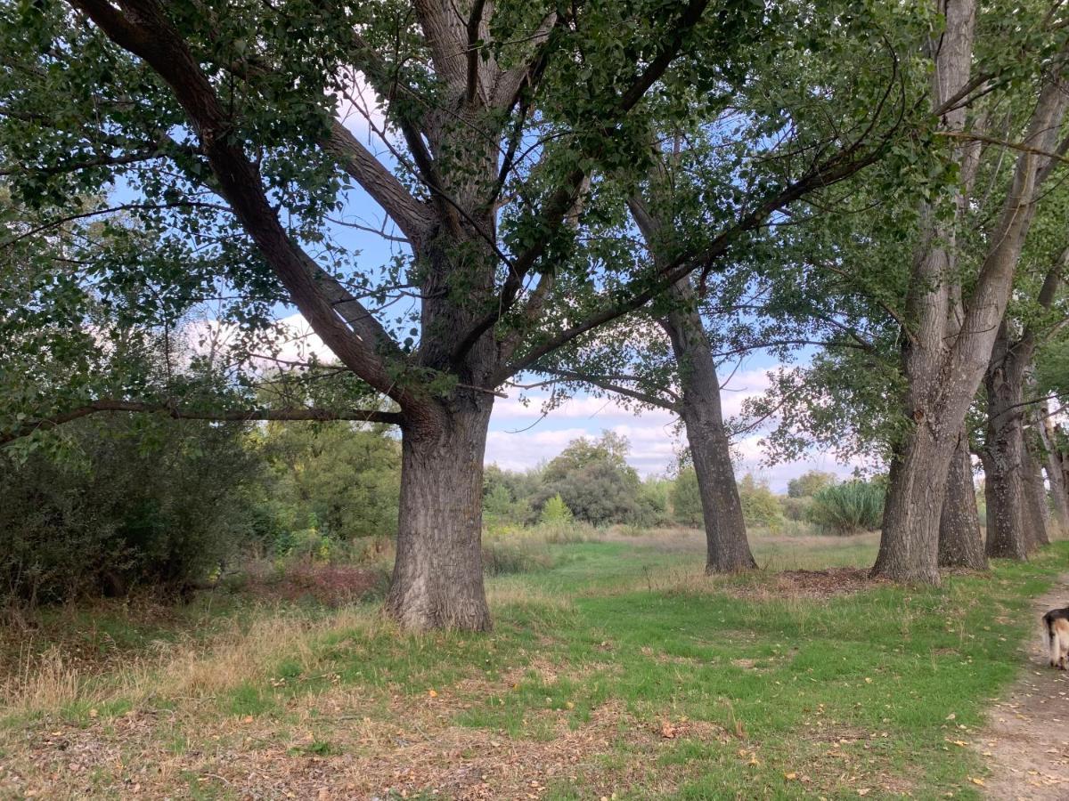 הוילה Villa del Prado Jaramundi מראה חיצוני תמונה