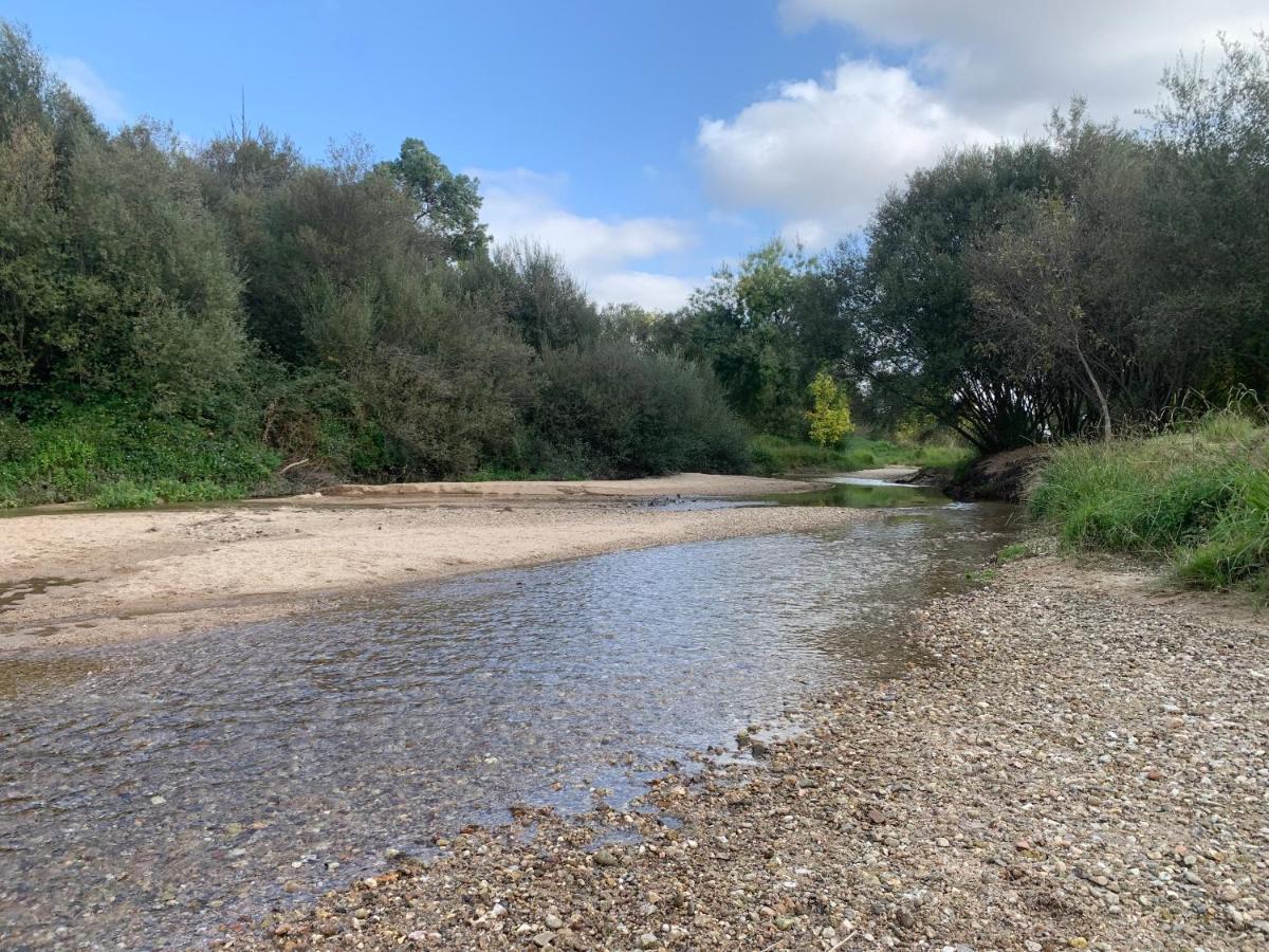 הוילה Villa del Prado Jaramundi מראה חיצוני תמונה