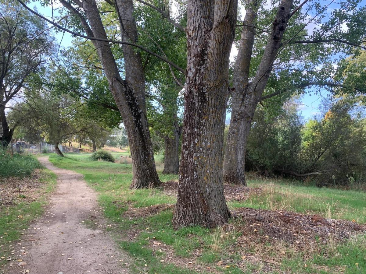 הוילה Villa del Prado Jaramundi מראה חיצוני תמונה