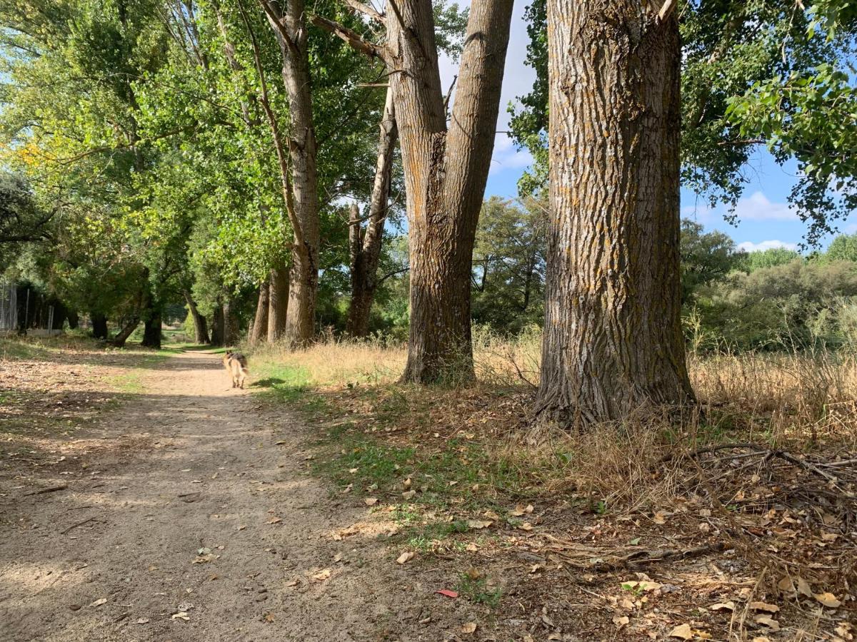הוילה Villa del Prado Jaramundi מראה חיצוני תמונה