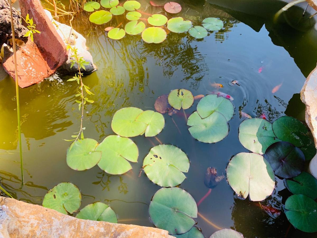הוילה Villa del Prado Jaramundi מראה חיצוני תמונה